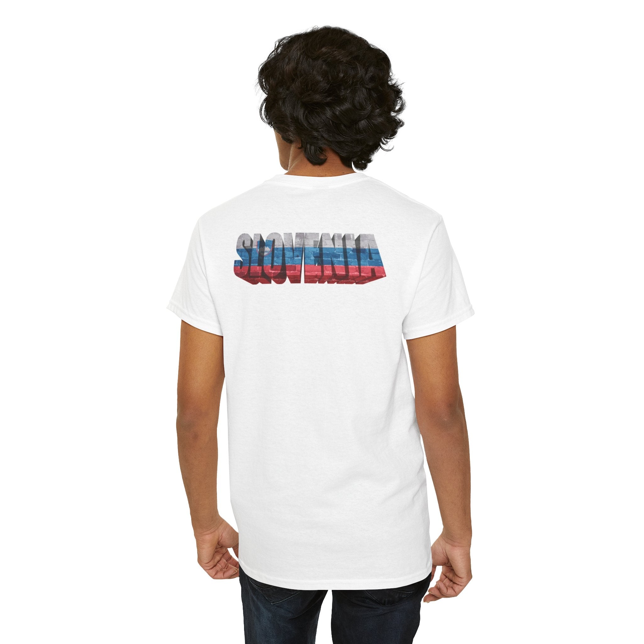 Slovenia Euro T-shirt