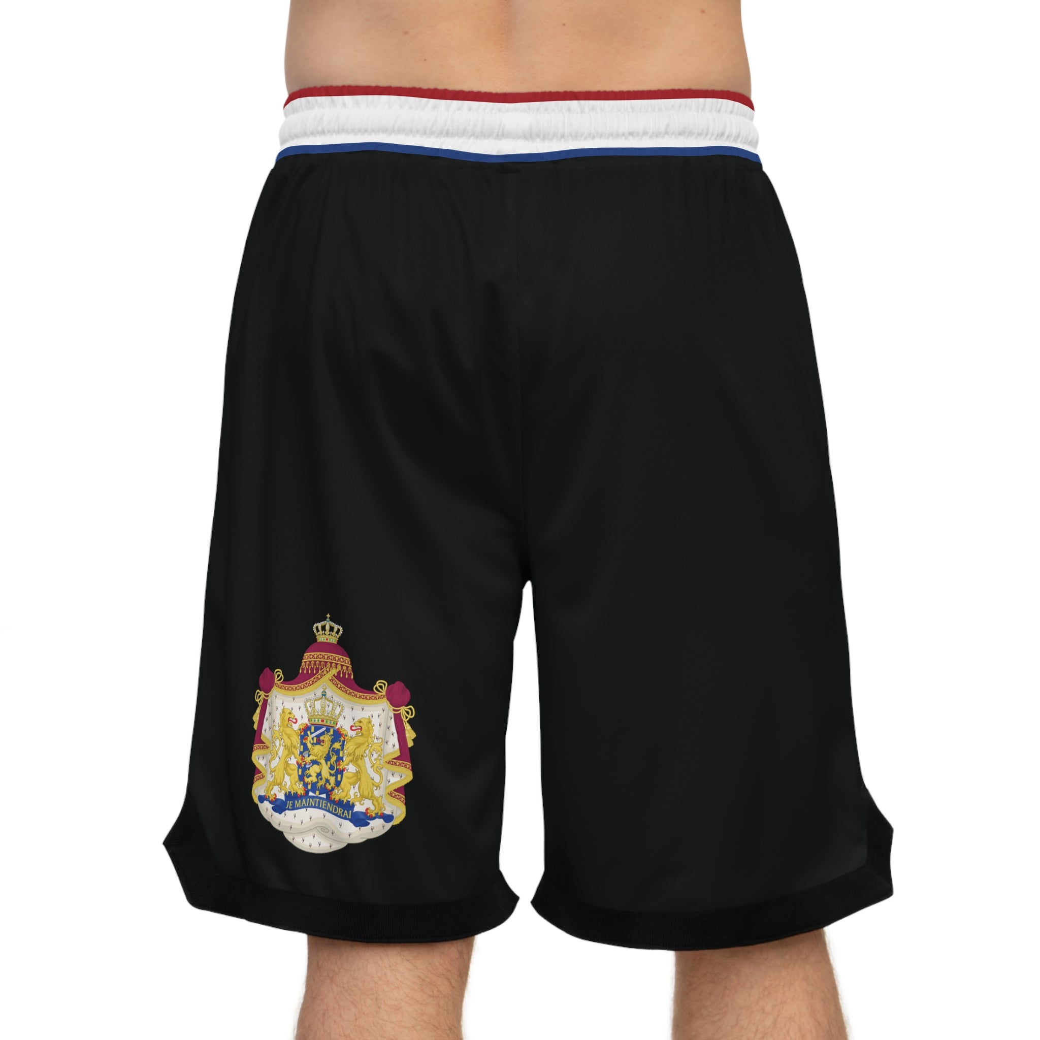 Netherlands Football Shorts