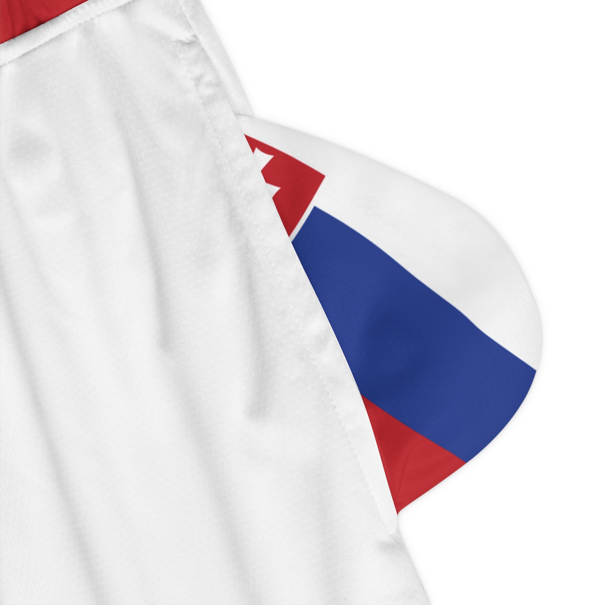 Slovakia Men  Shorts